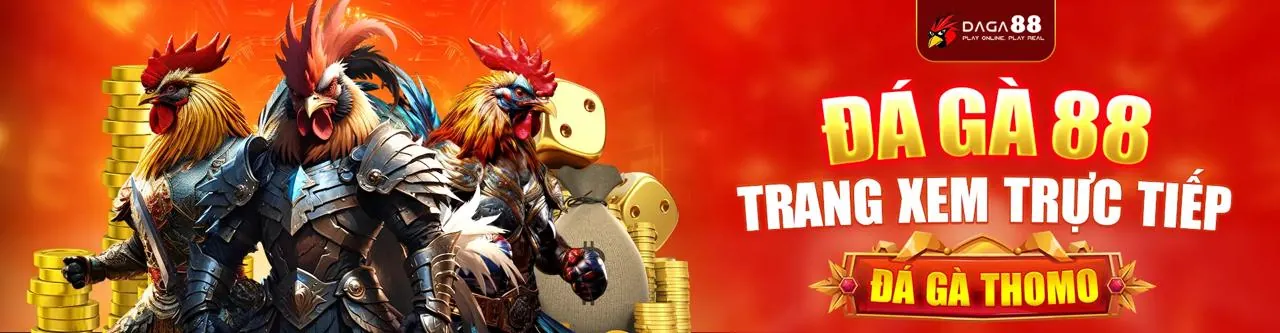 Đá Gà Trực Tiếp Hấp Dẫn