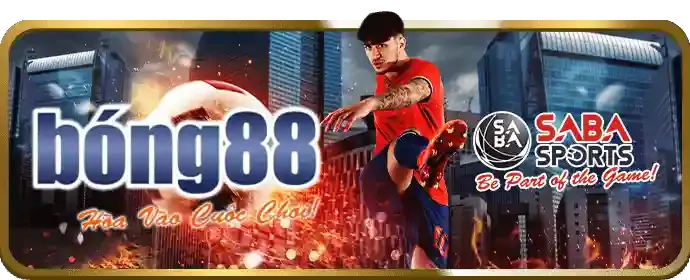 Chiến thuật đặt cược bóng đá thông minh